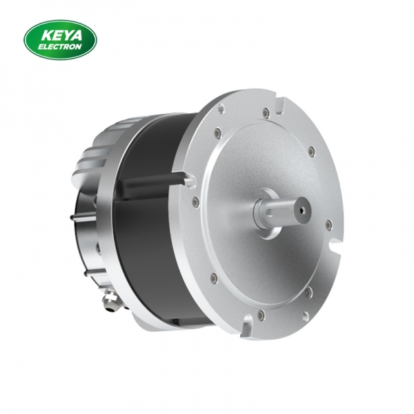 江南官方(中国)总部_江南官方(中国)总部215系列48V 4000W 1500RPM