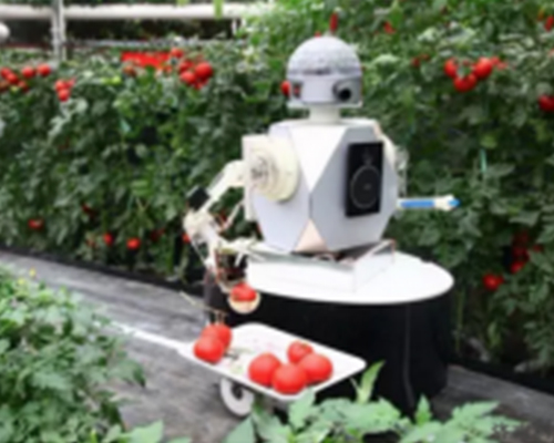 伺服电机驱动器